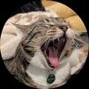 bl4ckcat